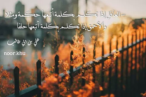 بالصور كـلام من ذهب 5