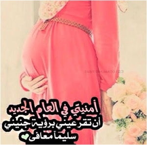 عبارات للحامل بولد