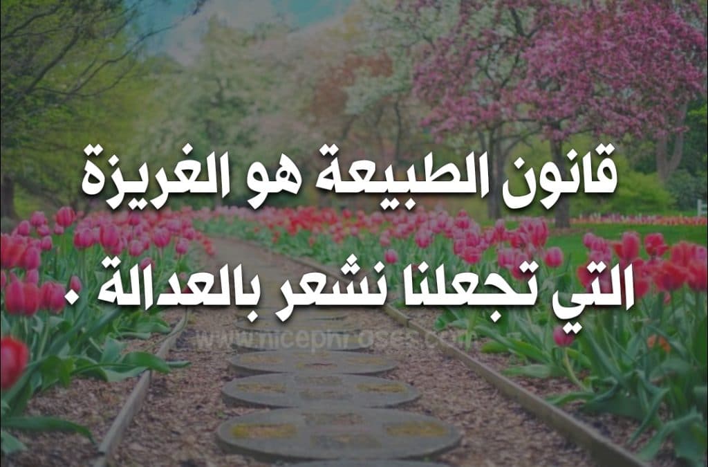 عبارات عن الطبيعة تويتر