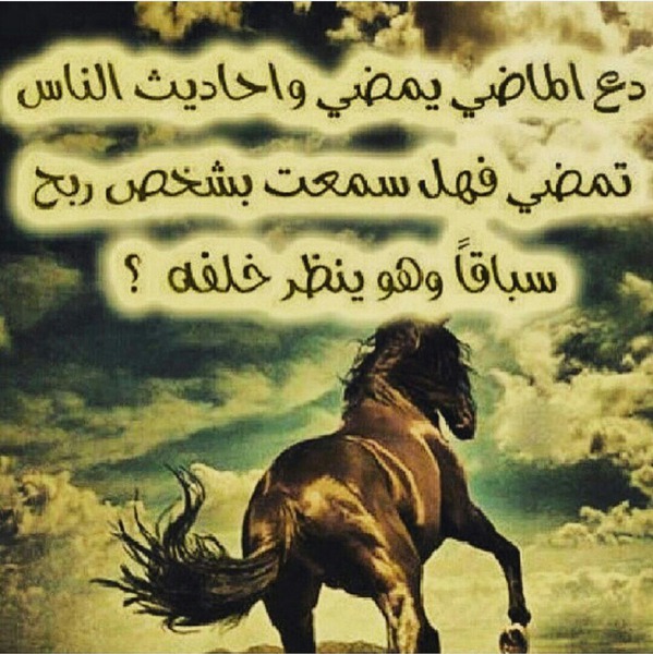 عبارات هيبة
