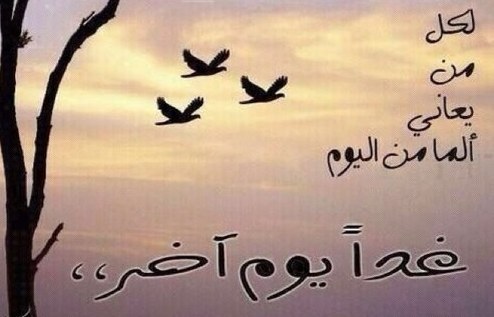 عبارات عن الحياة