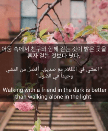 جمل كورية عن الصداقة