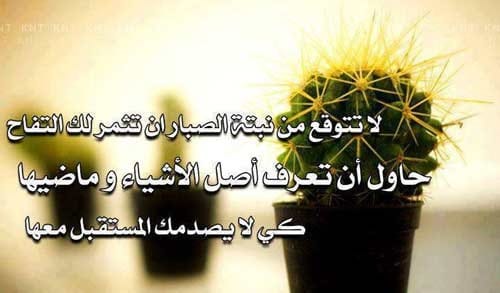 عبارات عن النباتات