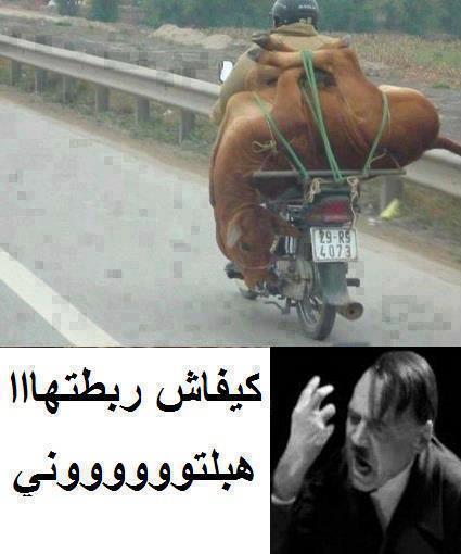 منشورات مضحكة مغربية ١