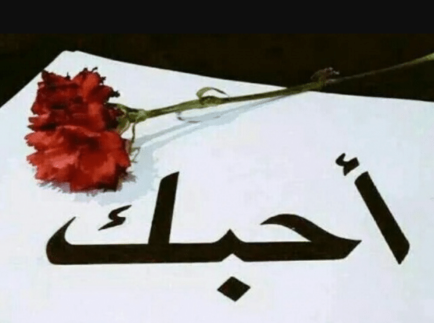 اذا احد قالي احبك وانا ماحبه وش ارد