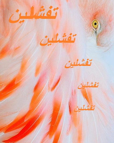 اذا احد قالي تفشلين وش ارد