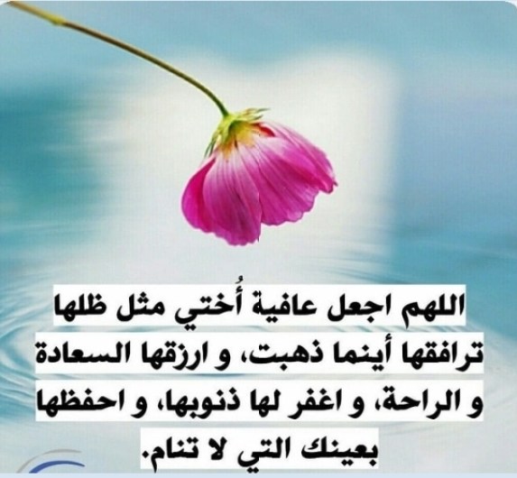 تهنئة حمل