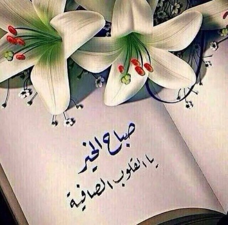بوستات صباح الخير للعشاق