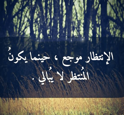 بوستات حزينة بالصور ٢