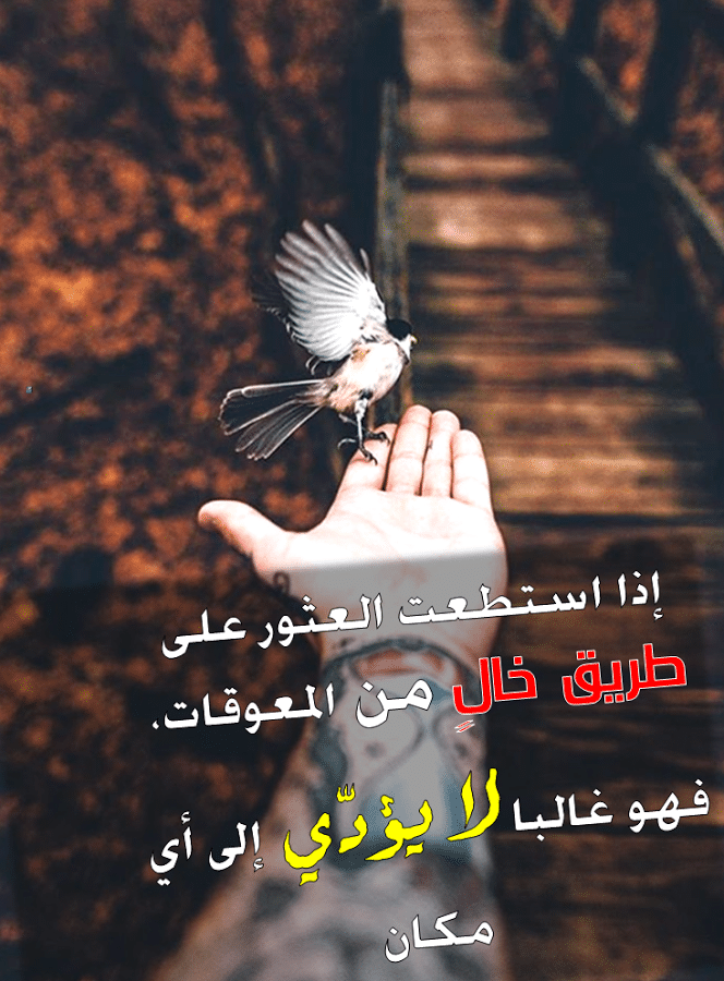 عبارات أدبية راقية