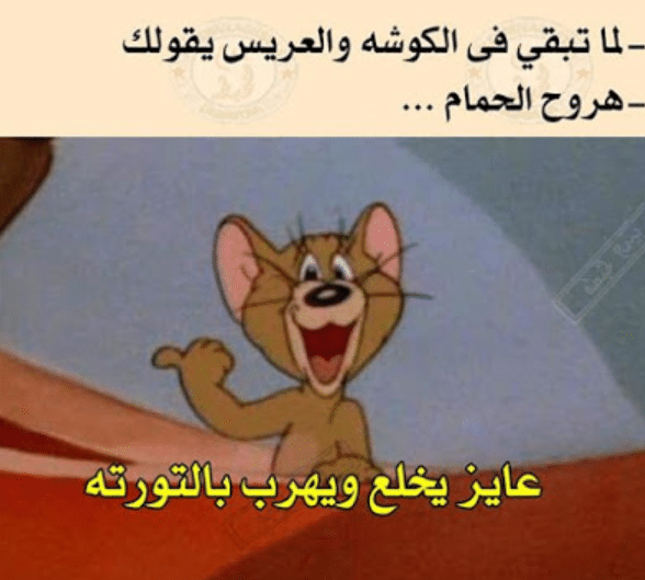 بوستات وصور مضحكة4