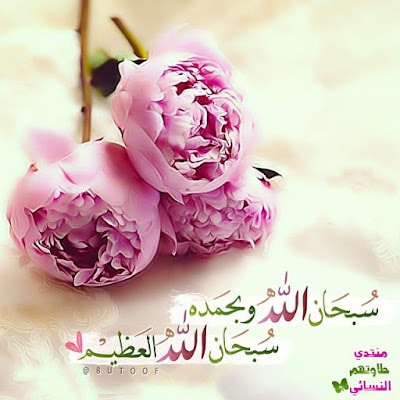 منشورات دينية تجذب المعجبين ٣