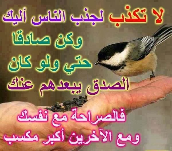 اكثر المنشورات تعليقاً ٤