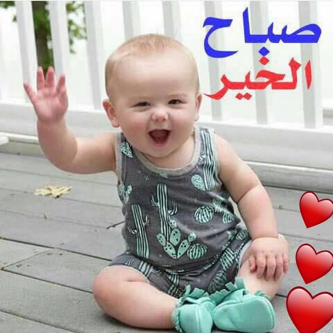 صباحات مضحكة جدا ١