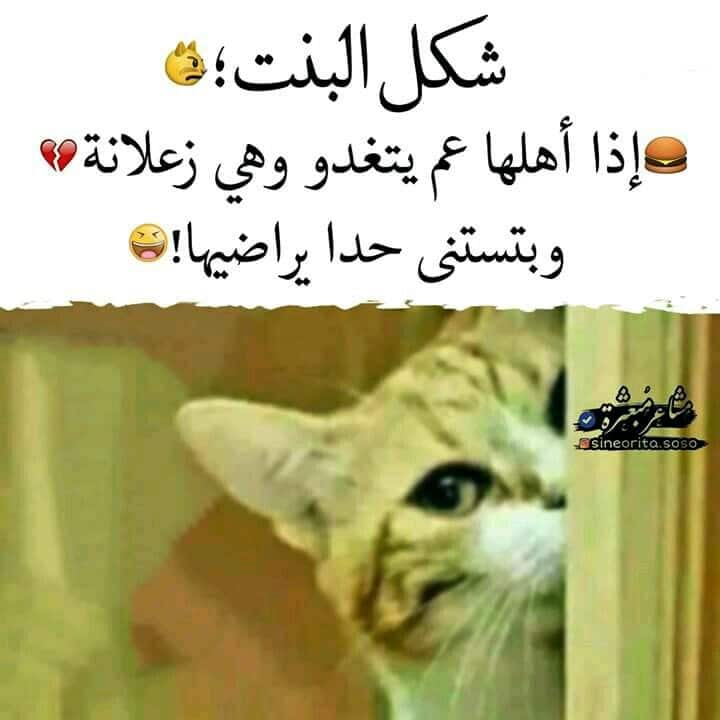 بوستات فيس بوك مضحكة 2020