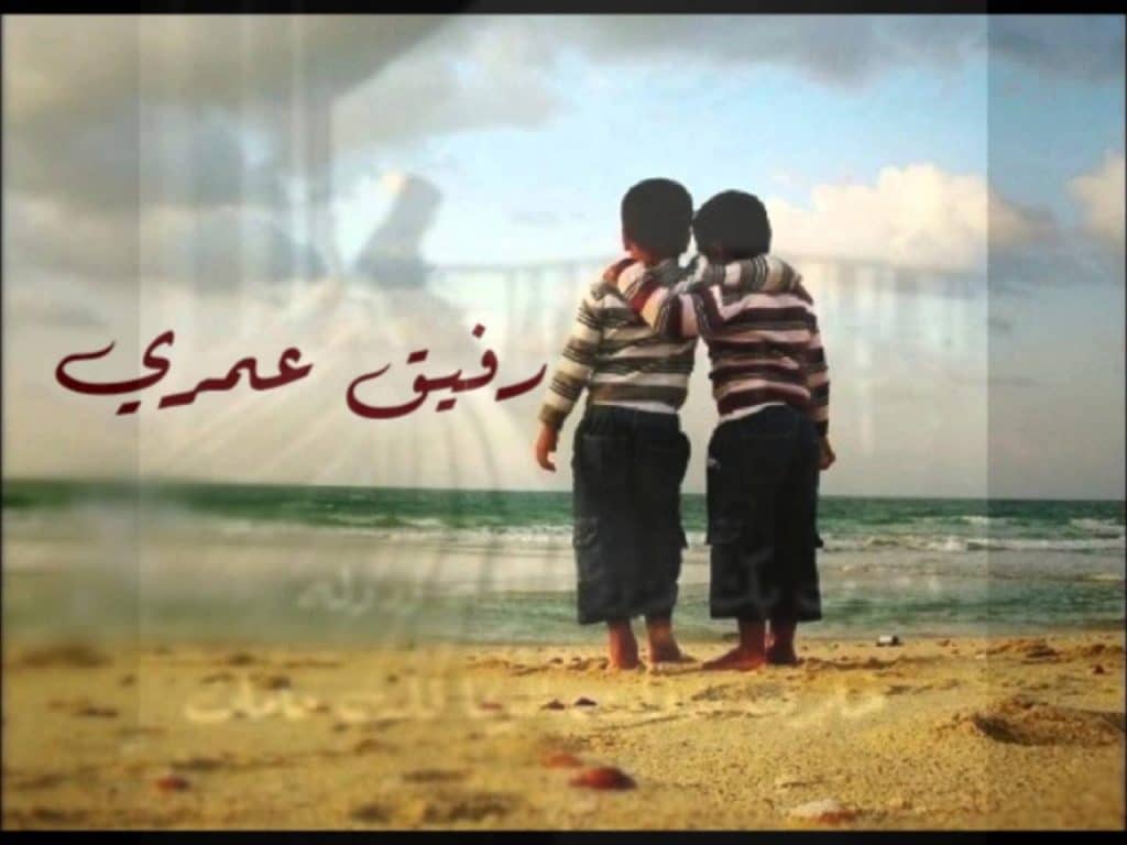 منشورات تجذب الأصدقاء ١