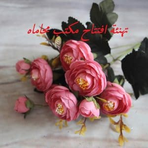 تهنئة افتتاح مكتب محاماه