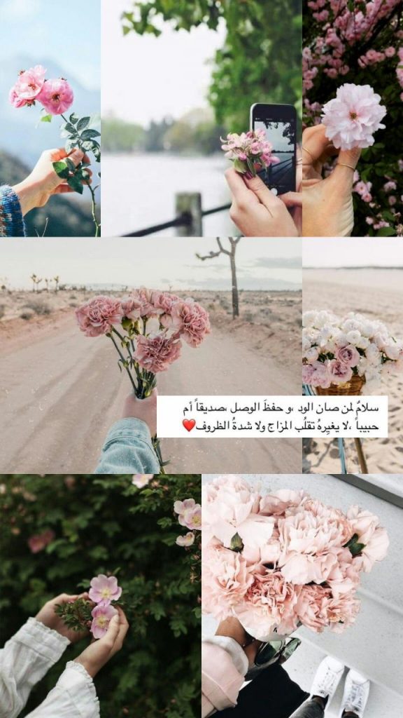 بوستات راقية بالصور ١