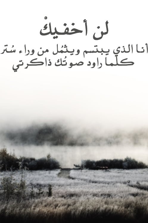 شعر عن فراق الصديق حزين