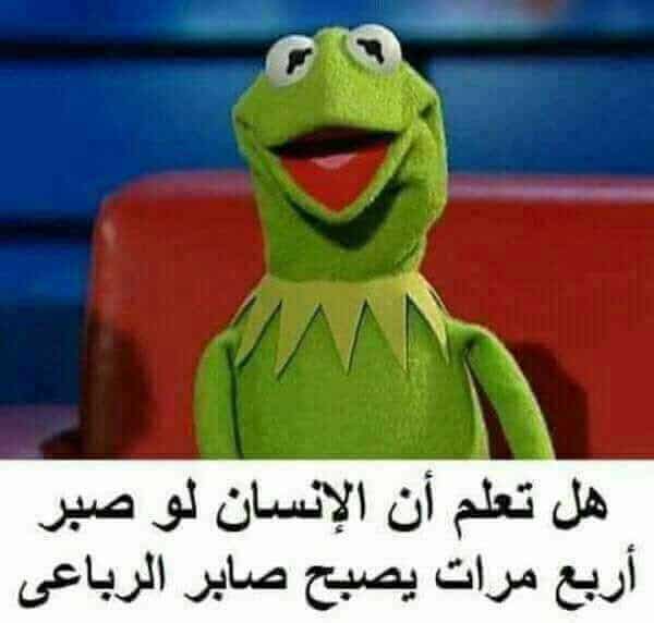 منشورات تجذب المتابعين ٤