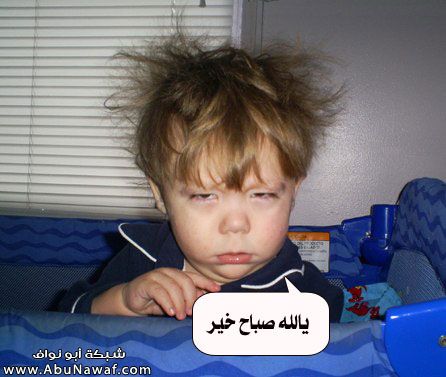صباحات مضحكة جدا ٤
