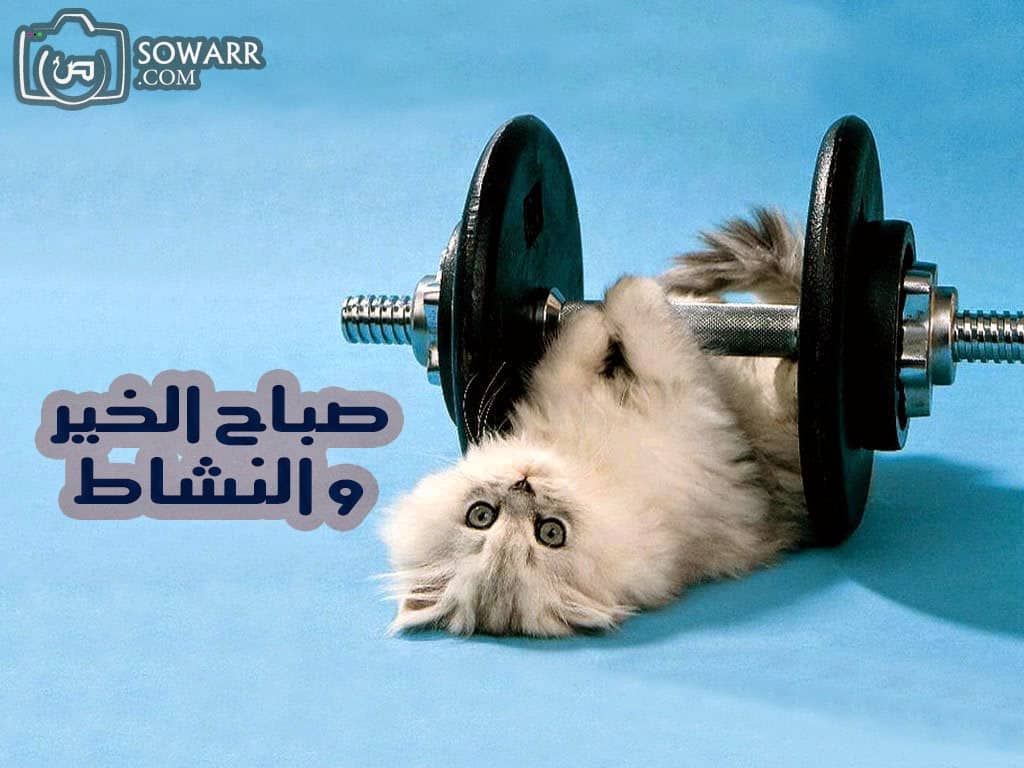رسوم صباح الخير مهضومه ٣