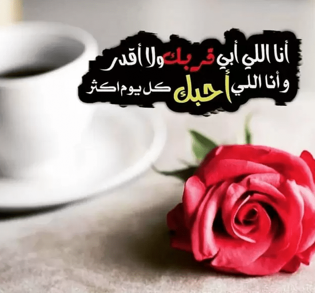 4صورجميلة عن الحب رومانسية