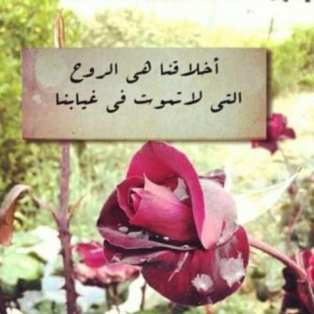 بوستات فيس بوك جديدة كلام