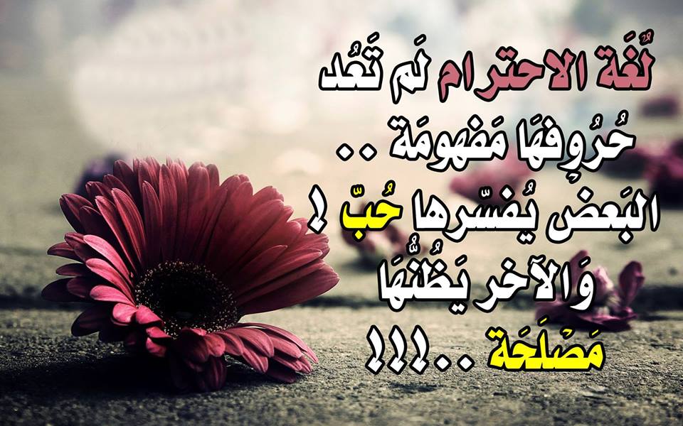 منشورات فيس بوك جديدة ١
