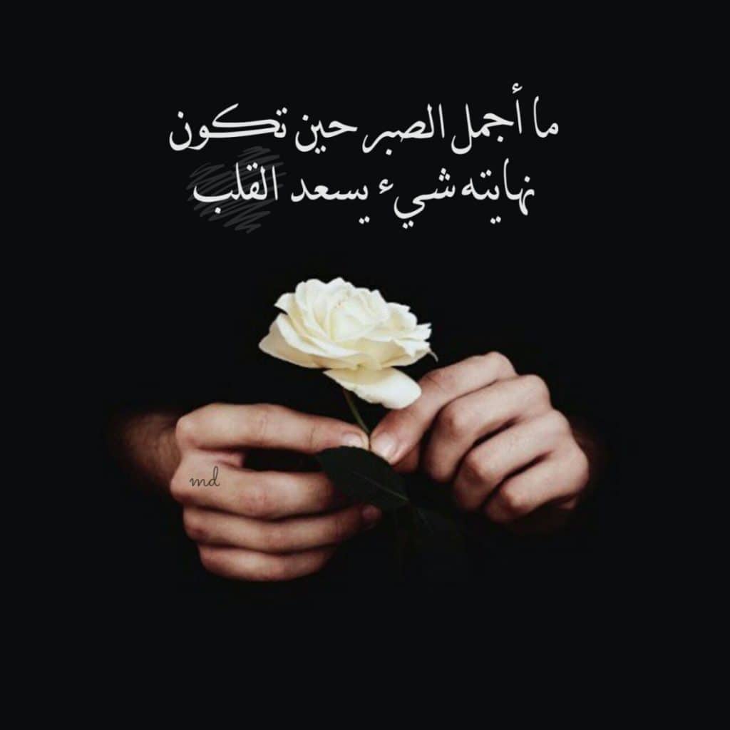 منشورات فيس بوك جديدة ٣