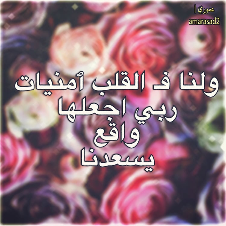 بوستات كلام كبار