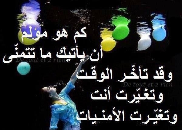 اكثر المنشورات تعليقاً ٢