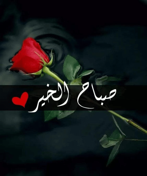 صباح الخير للحبيب بالصور ٤
