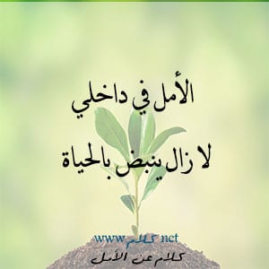كلام جميل عن الحياة والأمل