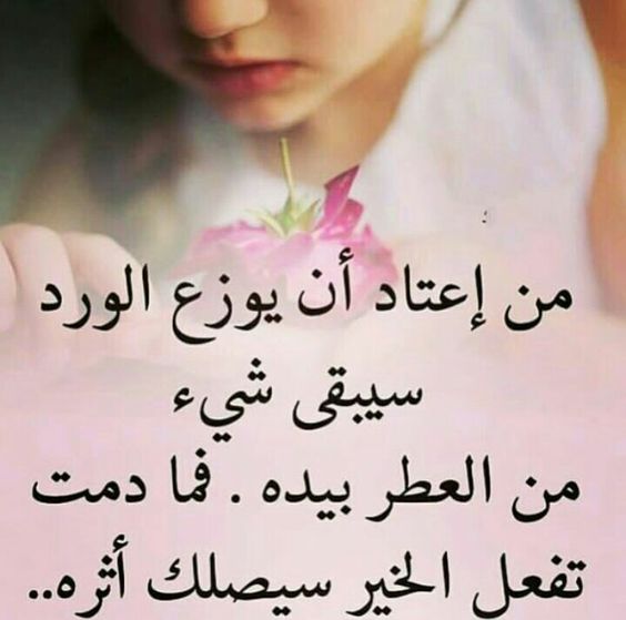 المنشورات الأكثر تفاعلًا ٢