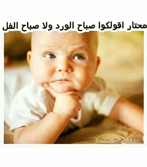 بطاقات صباح الخير مضحكة ٢