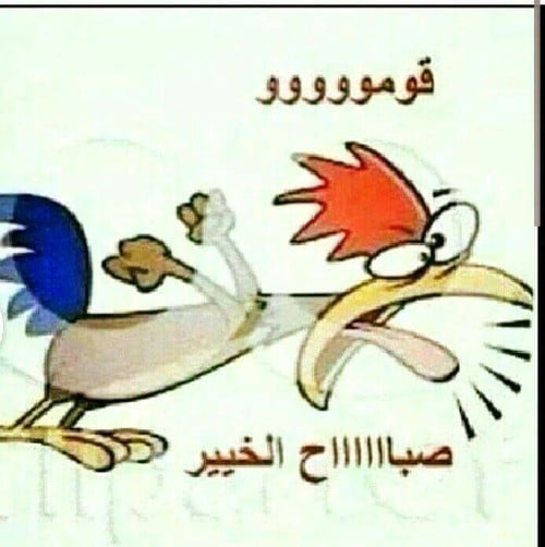 بطاقات صباح الخير مضحكة ٣