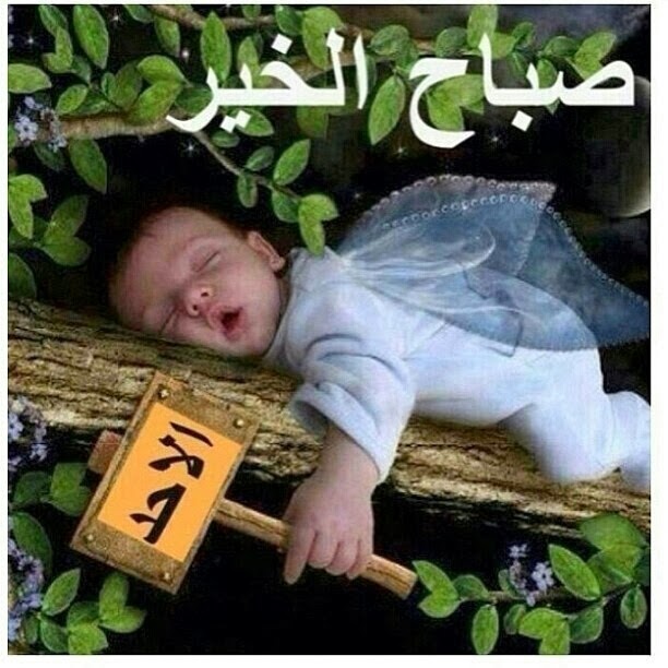 منشورات صباحية مضحكة ١