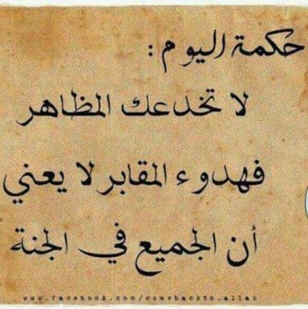 مقولات جميلة عن الحياة