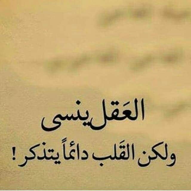 منشورات فيس بوك ٢