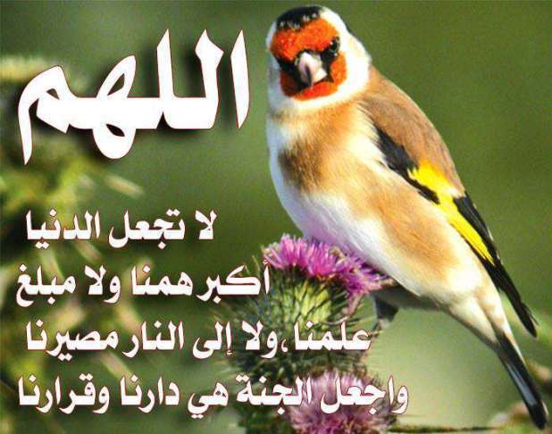 منشورات دينية مؤثرة ٤
