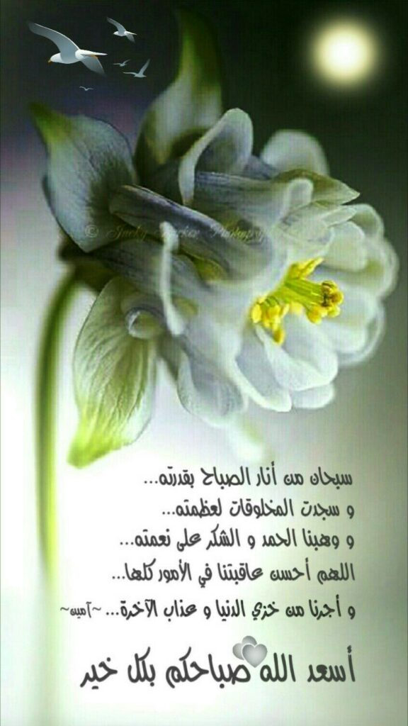 اجمل دعاء الصباح مع الصور ٥