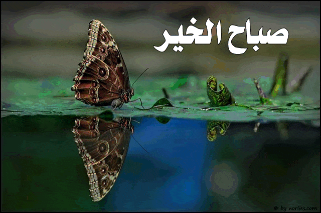 بطاقات صباح الخير اسلامية متحركة ٤