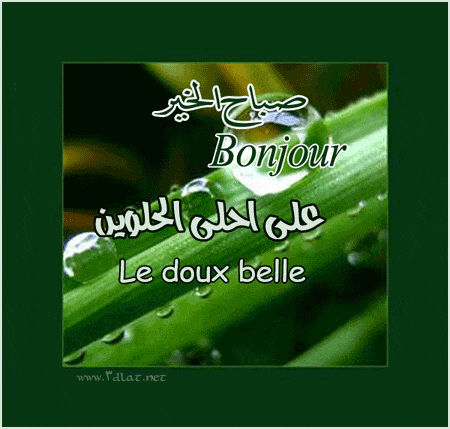 بوستات صباح الخير باللغة الفرنسية - بطاقات صباح الخير بالفرنسية ٥