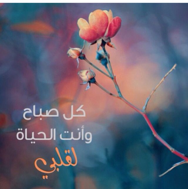 صورصباح الخير رومانسية للزوج ٣