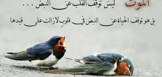 منشورات تجذب الأصدقاء ٥