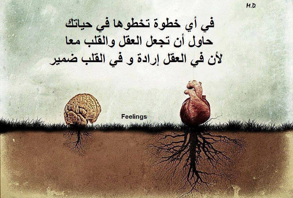 منشورات تجذب الأصدقاء ١