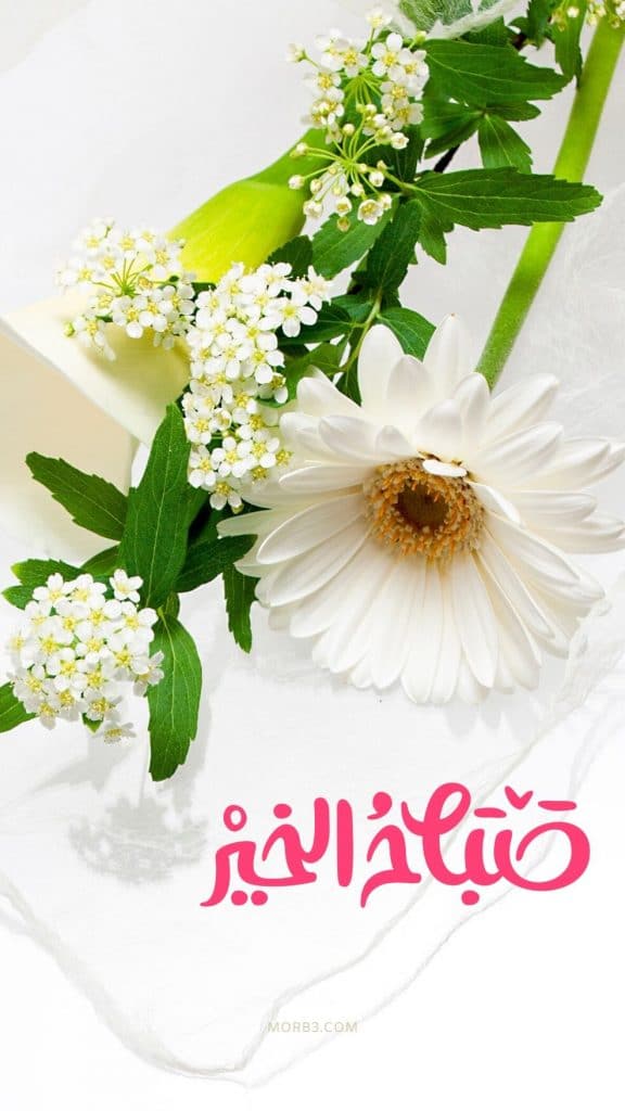 بوستات صباح الخير