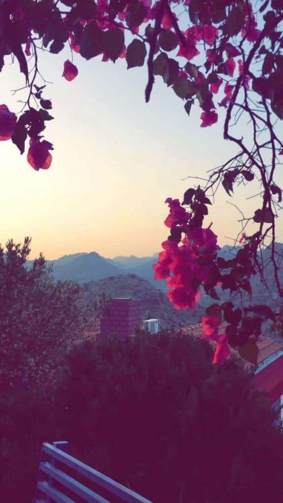 خلفيات الشاشة للهاتف ٣