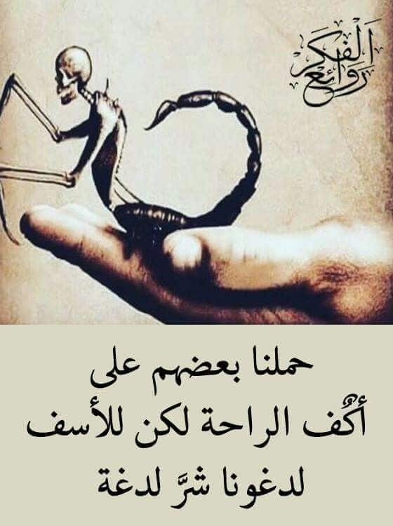 بوستات كلام عن غدر الصحاب بالصور ٣